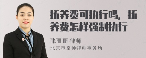 抚养费可执行吗，抚养费怎样强制执行