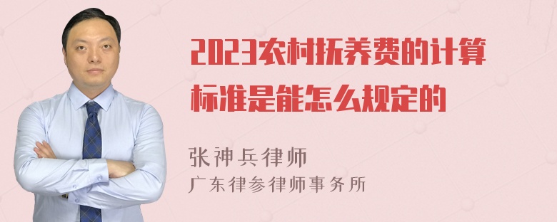 2023农村抚养费的计算标准是能怎么规定的