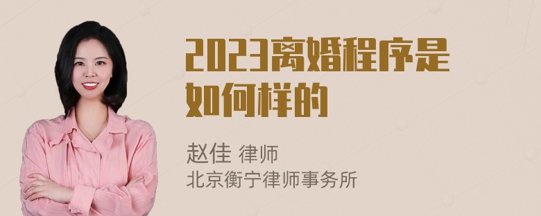 2023离婚程序是如何样的