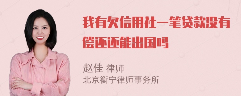 我有欠信用社一笔贷款没有偿还还能出国吗