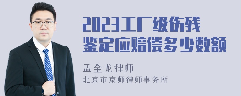 2023工厂级伤残鉴定应赔偿多少数额