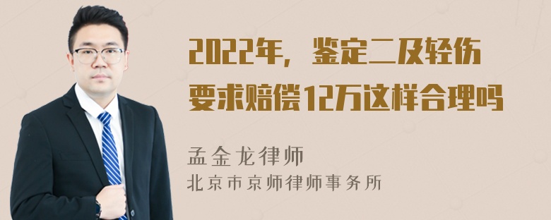 2022年，鉴定二及轻伤要求赔偿12万这样合理吗