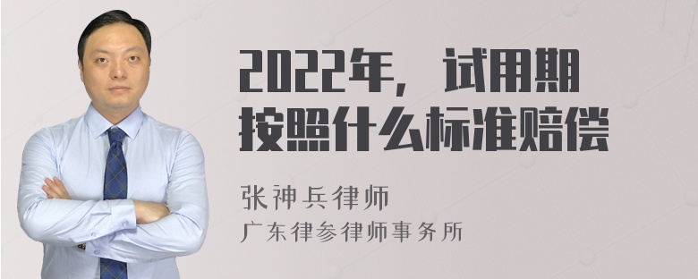 2022年，试用期按照什么标准赔偿