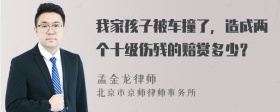 我家孩子被车撞了，造成两个十级伤残的赔赏多少？