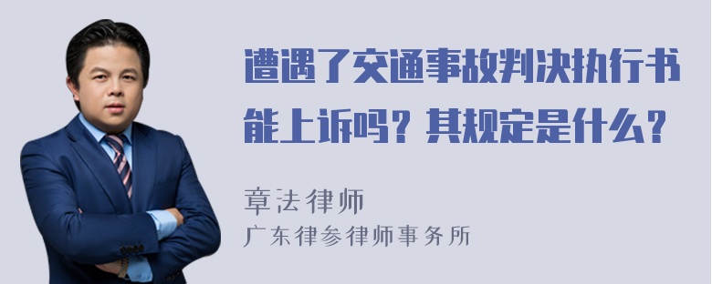 遭遇了交通事故判决执行书能上诉吗？其规定是什么？