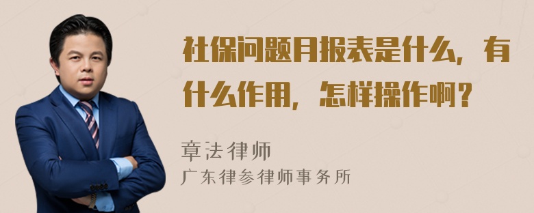 社保问题月报表是什么，有什么作用，怎样操作啊？