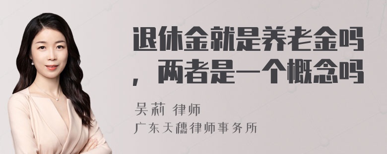 退休金就是养老金吗，两者是一个概念吗