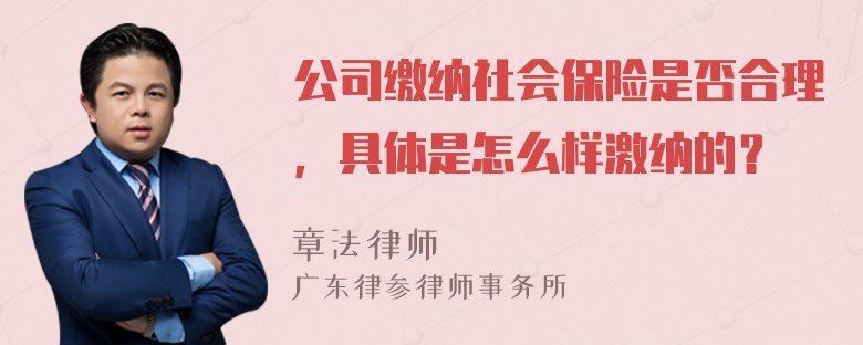 公司缴纳社会保险是否合理，具体是怎么样激纳的？