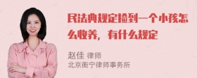 民法典规定捡到一个小孩怎么收养，有什么规定