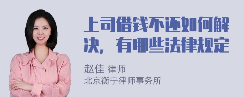 上司借钱不还如何解决，有哪些法律规定