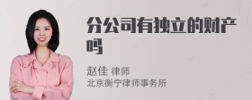 分公司有独立的财产吗