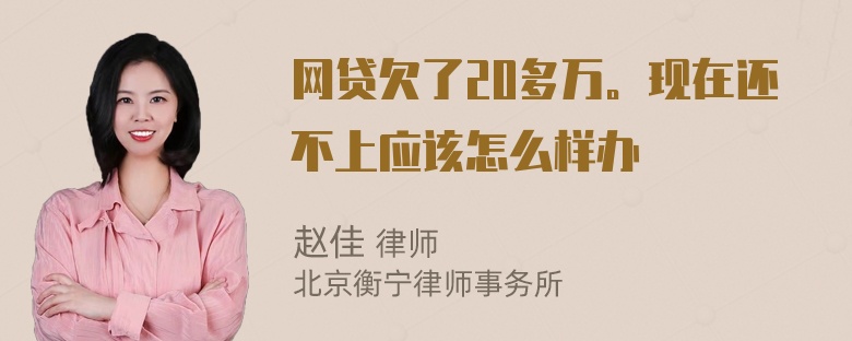 网贷欠了20多万。现在还不上应该怎么样办