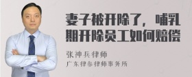 妻子被开除了，哺乳期开除员工如何赔偿