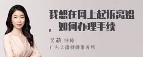 我想在网上起诉离婚，如何办理手续