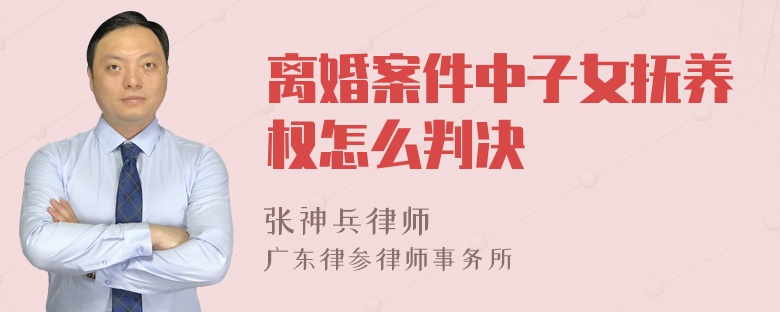 离婚案件中子女抚养权怎么判决