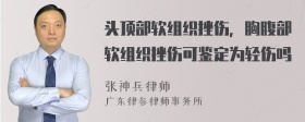 头顶部软组织挫伤，胸腹部软组织挫伤可鉴定为轻伤吗