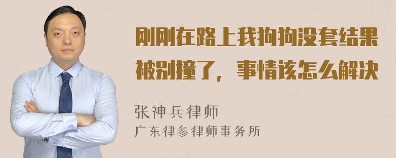 刚刚在路上我狗狗没套结果被别撞了，事情该怎么解决