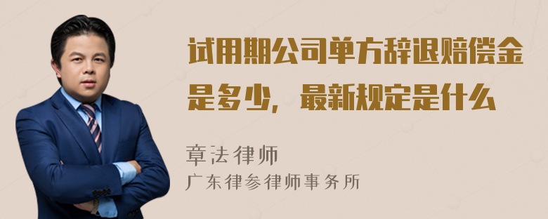 试用期公司单方辞退赔偿金是多少，最新规定是什么