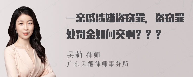 一亲戚涉嫌盗窃罪，盗窃罪处罚金如何交啊？？？