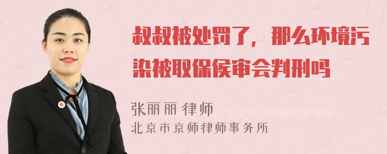 叔叔被处罚了，那么环境污染被取保侯审会判刑吗