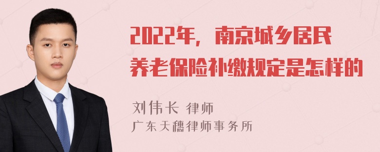 2022年，南京城乡居民养老保险补缴规定是怎样的