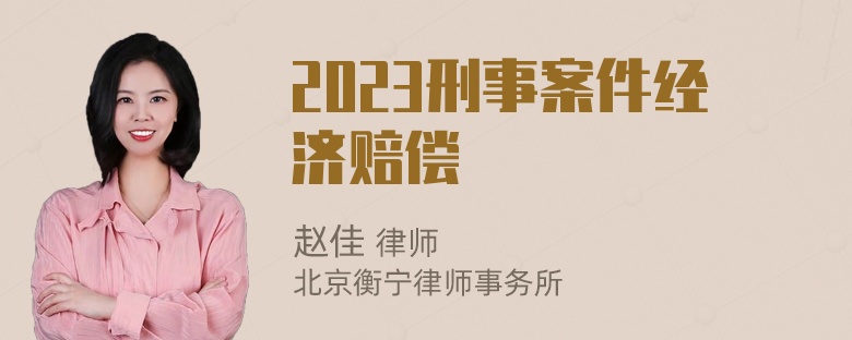 2023刑事案件经济赔偿