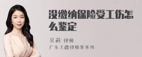 没缴纳保险受工伤怎么鉴定