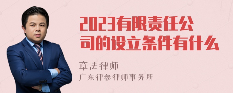 2023有限责任公司的设立条件有什么