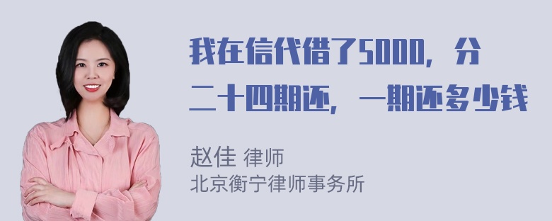 我在信代借了5000，分二十四期还，一期还多少钱