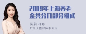 2009年上海养老金共分几部分组成