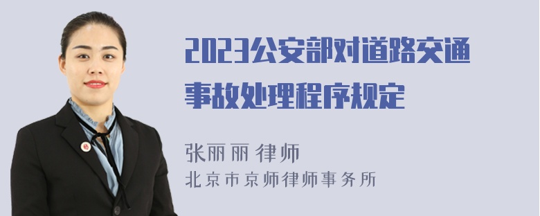 2023公安部对道路交通事故处理程序规定