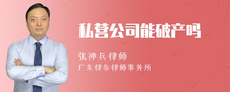 私营公司能破产吗