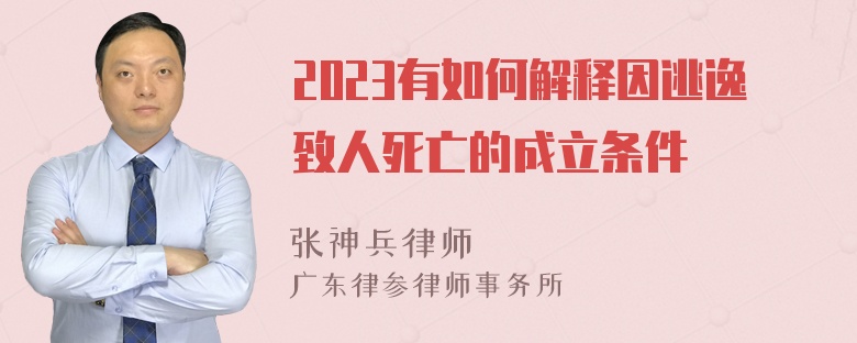 2023有如何解释因逃逸致人死亡的成立条件