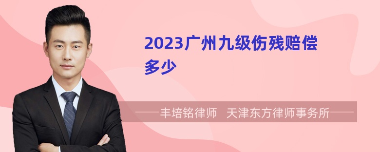 2023广州九级伤残赔偿多少