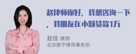 赵律师你好，我想咨询一下，我朋友在小额贷款1万