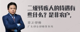 二级残疾人的待遇有些什么？是非农户，