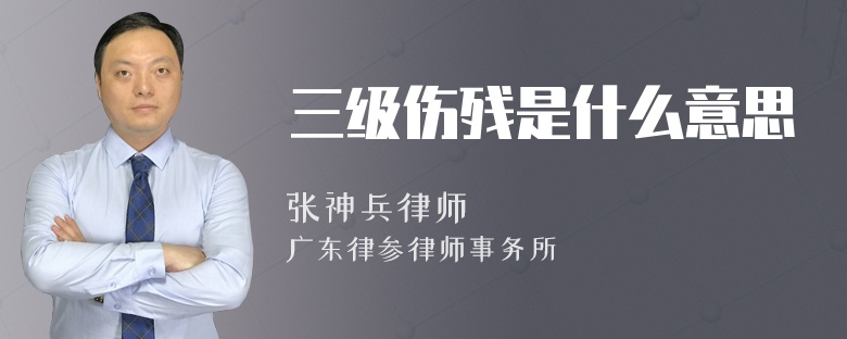 三级伤残是什么意思