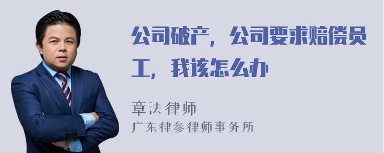 公司破产，公司要求赔偿员工，我该怎么办