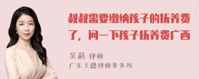 叔叔需要缴纳孩子的抚养费了，问一下孩子抚养费广西