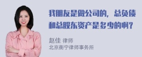 我朋友是做公司的，总负债和总股东资产是多少的啊？