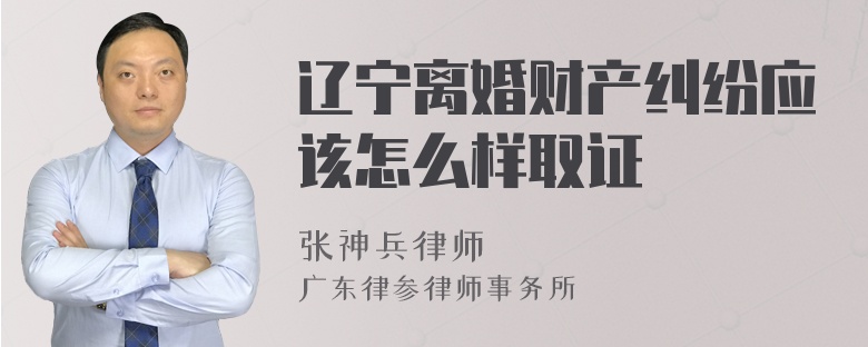 辽宁离婚财产纠纷应该怎么样取证
