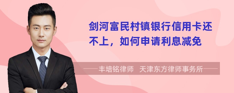 剑河富民村镇银行信用卡还不上，如何申请利息减免