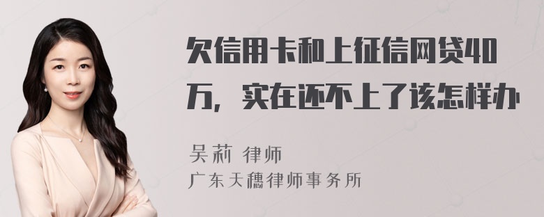 欠信用卡和上征信网贷40万，实在还不上了该怎样办