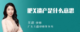 肥X遗产是什么意思