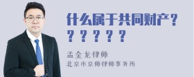 什么属于共同财产？？？？？？