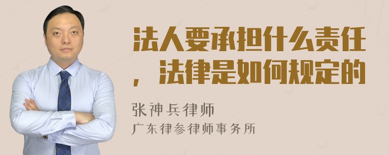 法人要承担什么责任，法律是如何规定的