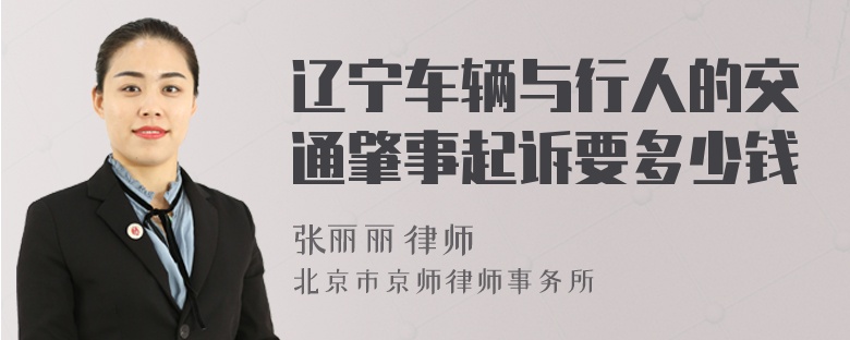辽宁车辆与行人的交通肇事起诉要多少钱