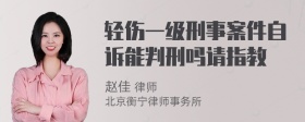 轻伤一级刑事案件自诉能判刑吗请指教