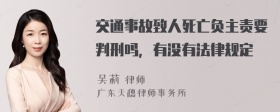 交通事故致人死亡负主责要判刑吗，有没有法律规定