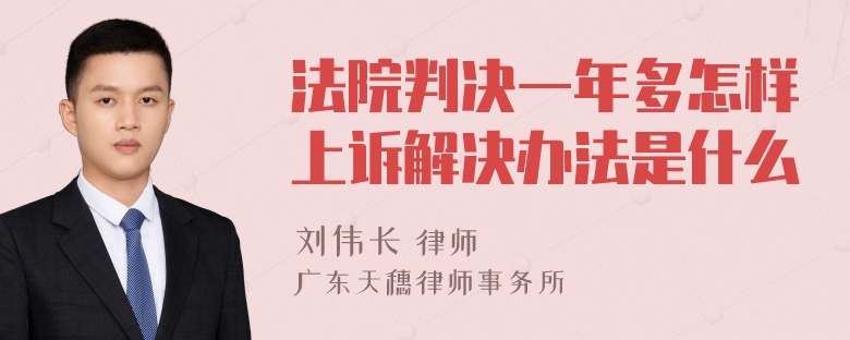 法院判决一年多怎样上诉解决办法是什么